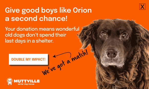 DOUBLE YOUR DOLLARS! DONATE NOW!