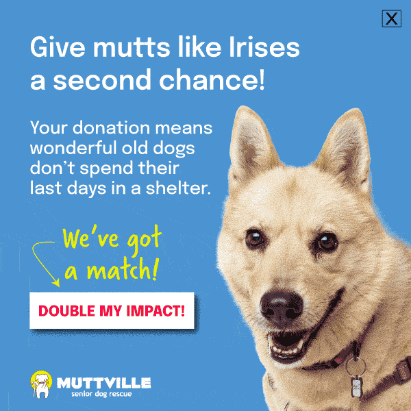 DOUBLE YOUR DOLLARS! DONATE NOW!