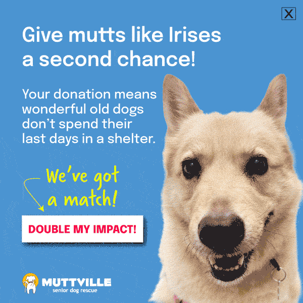 DOUBLE YOUR DOLLARS! DONATE NOW!