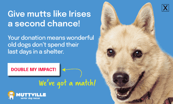 DOUBLE YOUR DOLLARS! DONATE NOW!