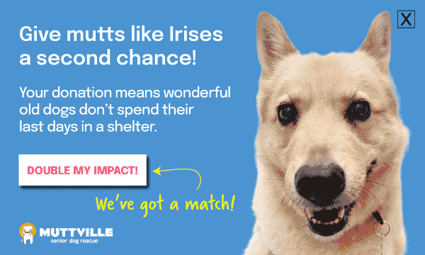 DOUBLE YOUR DOLLARS! DONATE NOW!