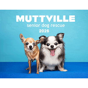 Muttville 2026 Calendar