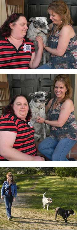 Maxwell, Muttville's 1000th rescued dog