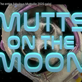 Mutts on the Moon