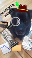 Hector