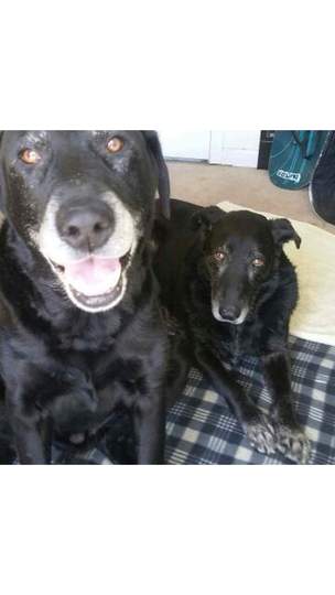 Rosie and Gunther
