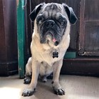 Tucker