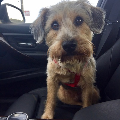 Rufus 2