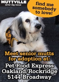 Meet Our Mutts! Muttville's Adoption Event at Pet Food Express in Oakland!