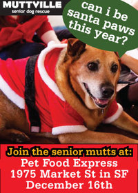 Come visit Santa Paws at the Pet Food Express on Market St!!!