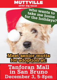 Muttville joins the crowd for pictures with Santa