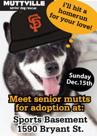 Sports Basement opens its doors to help get Mutts adopted!