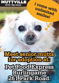 Meet Our Mutts! Muttville's Adoption Event at Pet Food Express in Burlingame!