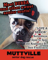 Get free love at LOVE A SENIOR SATURDAY at Muttville HQ