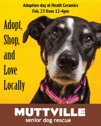 Adopt, Shop and Love locally!
