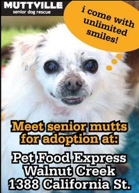 Meet Our Mutts! Muttville's Adoption Event at Pet Food Express in Walnut Creek!