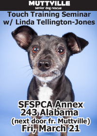 Tellington Touch Lecture given by Linda Tellington-Jones, with donations to Muttville