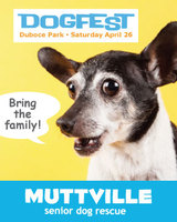 Muttfest at Dogfest