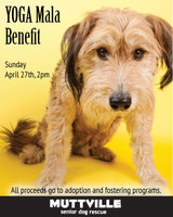 YOGA Mala to benefit Muttville