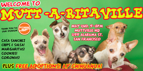 Welcome to Muttaritaville!! A party to kick off 'Ay Chihuahua' weekend sponsored by Fitness SF