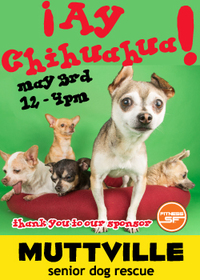 AY CHIHUAHUA - Get free love at LOVE A SENIOR SATURDAY at Muttville HQ