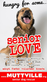 Get free love at LOVE A SENIOR SATURDAY at Muttville HQ