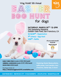 Easter Egg Hunt for Dogs!