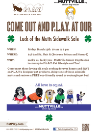 Muttville & P.L.A.Y. Sidewalk Sale and Adoption Event