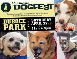 Muttfest at Dogfest