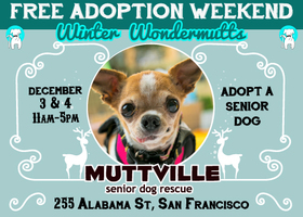 Winter WonderMutts Adoptathon