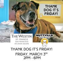 Thank Dog it's Friday!!