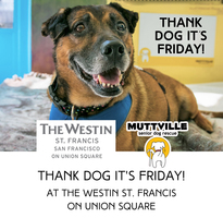 Thank Dog it's Friday!!