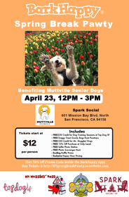 BarkHappy Spring Break Pawty benefitting MUTTVILLE!