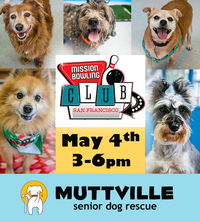 Yappy Hour at Mission Bowling Club
