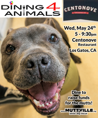 Dining 4 Animals in support of Muttville