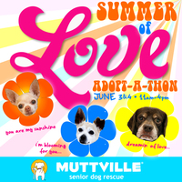 Summer of Love Adopt-a-thon!!!