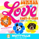 Summer of Love Adopt-a-thon!!!