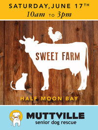 Mutts @ Sweet Farm!