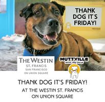 Thank Dog it's Friday!!