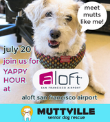 Mutt Strut Yappy Hour at Aloft!!