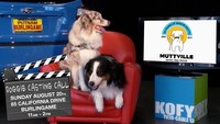 KOFY TV Casting Call at Putnam Subaru