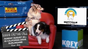 KOFY TV Casting Call at Putnam Subaru