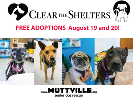 NBC's Clear the Shelters Adopt-a-thon 2017!