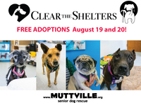 NBC's Clear the Shelters Adopt-a-thon 2017!
