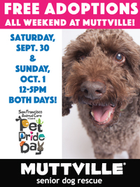 Muttville is celebrating SF ACC Pet Pride Day!