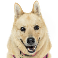 DOUBLE YOUR DOLLARS! DONATE NOW!