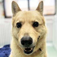 DOUBLE YOUR DOLLARS! DONATE NOW!