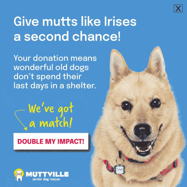 DOUBLE YOUR DOLLARS! DONATE NOW!