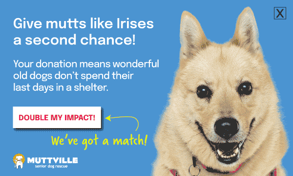 DOUBLE YOUR DOLLARS! DONATE NOW!